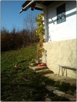 Na Kozjanski domačiji